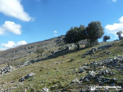  Pico Rocigalgo - Cascada del Chorro [Parque Nacional de Cabañeros] micologia madrid puerto de nava